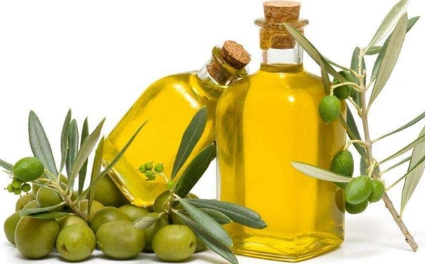 上海橄欖油進(jìn)口清關(guān)