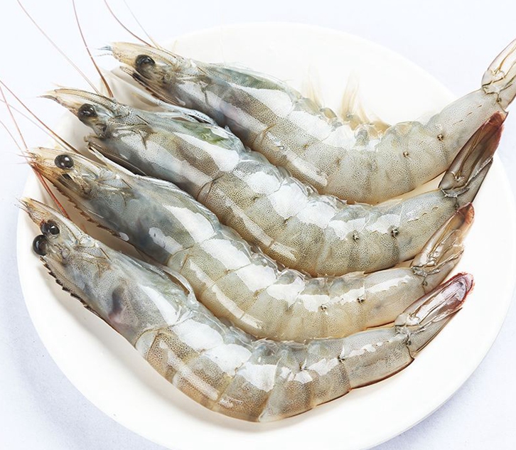 進(jìn)口印度青蝦清關(guān)資料