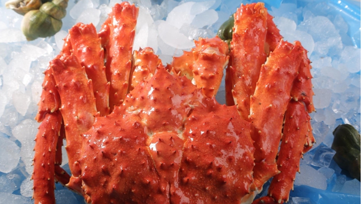 俄羅斯帝王蟹進(jìn)口清關(guān)手續(xù)流程及注意事項「通關(guān)攻略」