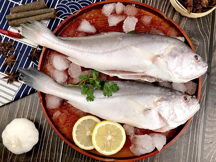 生鮮進口報關代理