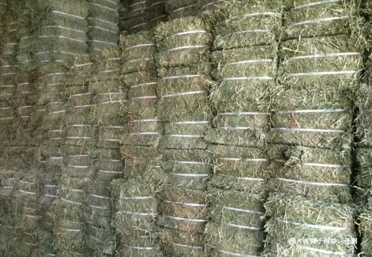 進(jìn)口蘇丹苜蓿草報關(guān)資料