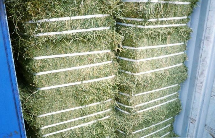 加拿大梯牧草進(jìn)口報(bào)關(guān)流程