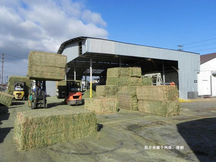 南非苜蓿草進口報關費用-節省50%飼料報關報檢費用