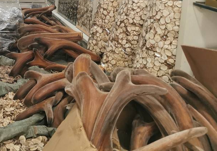 新西蘭鹿角進口報關