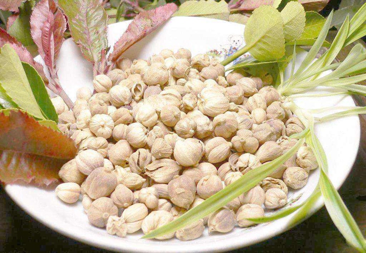 阿拉伯聯(lián)合酋長(zhǎng)國豆蔻進(jìn)口報(bào)關(guān)