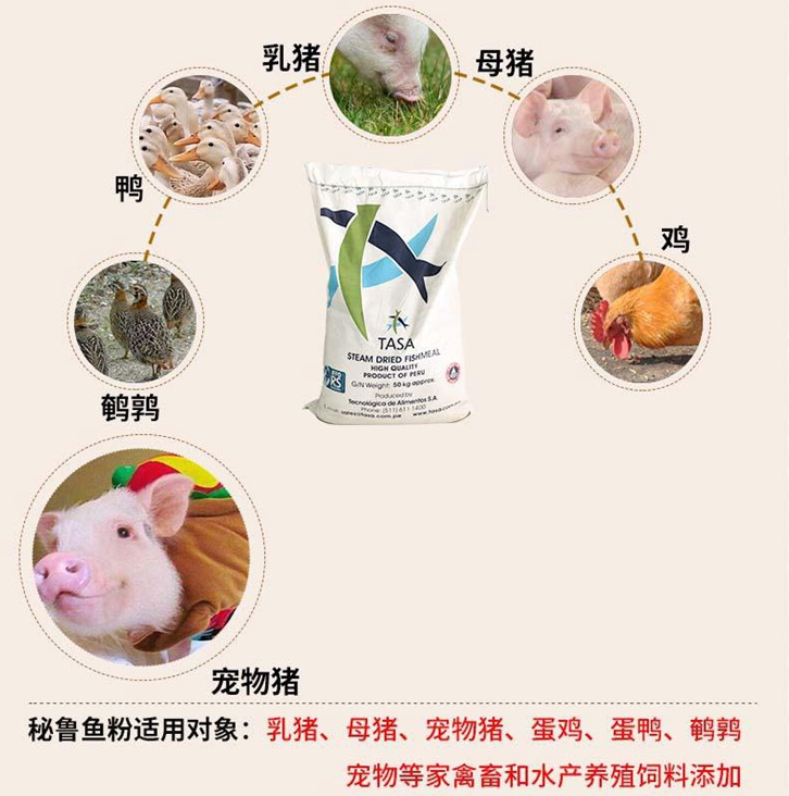 動物飼料進口報關流程
