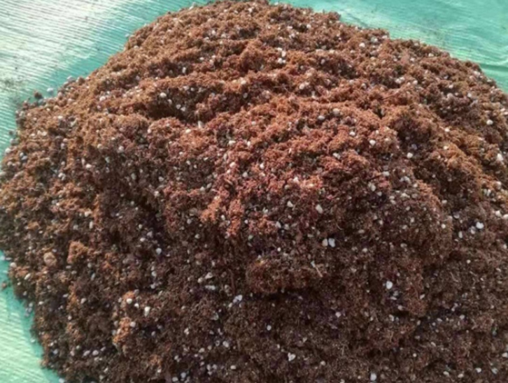 青島進(jìn)口椰糠報關(guān)公司