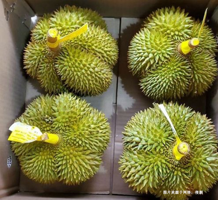 深圳機(jī)場進(jìn)口泰國榴蓮報(bào)關(guān)資料