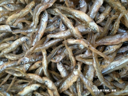 越南康氏側帶小公魚進口報關流程到廣州南沙案例