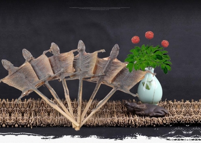 蛤蚧進(jìn)口報(bào)關(guān)代理_大壁虎進(jìn)口清關(guān)流程