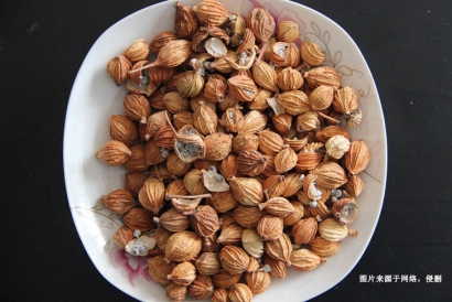 進(jìn)口澳大利亞豆蔻報(bào)關(guān)資料-調(diào)味料進(jìn)口無(wú)需藥品通關(guān)單