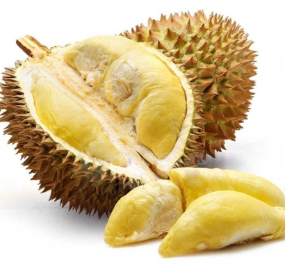 馬來西亞冷凍榴蓮進(jìn)口報(bào)關(guān)資料_貓山王榴蓮關(guān)稅