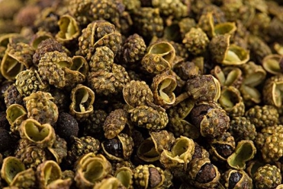 葵花籽粕進(jìn)口清關(guān)注意事項_葵花籽粕進(jìn)口流程