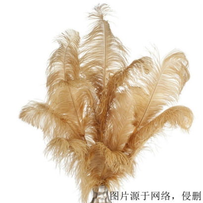 英國水洗鴕鳥羽毛進(jìn)口報關(guān)資料_羽絨清關(guān)注意事項