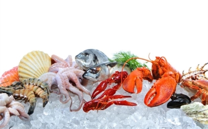 巴拿馬冷凍海鮮進口報關(guān)費用