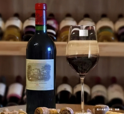 上海港食品酒水進口報關清關服務的重要性、流程及細節