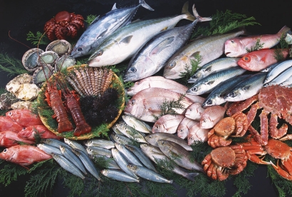 冷凍海鮮進(jìn)口清關(guān)