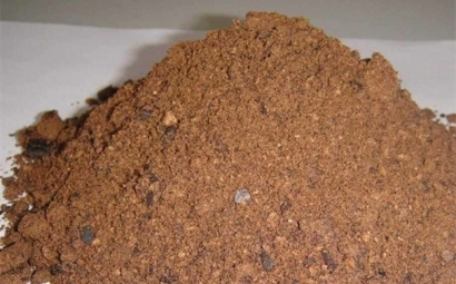 棕櫚粕進口報關所需資料一覽，了解一下