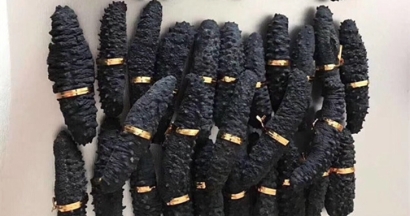 澳大利亞海參進(jìn)口報(bào)關(guān)資料9樣-深圳水產(chǎn)品報(bào)關(guān)行