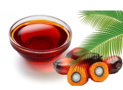 棕櫚油進(jìn)口報(bào)關(guān)公司哪家好？棕櫚油清關(guān)流程