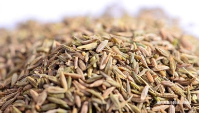 埃及枯茗子孜然進(jìn)口報關(guān)資料-18年調(diào)味料報關(guān)行