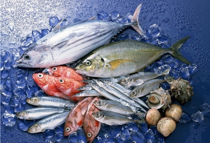 長(zhǎng)沙進(jìn)口菲律賓冷凍魚清關(guān)流程_冷凍海鮮空運(yùn)費(fèi)用