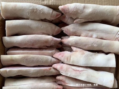 蘇州冷凍食品進口報關清關：廣州臻力提供專業服務