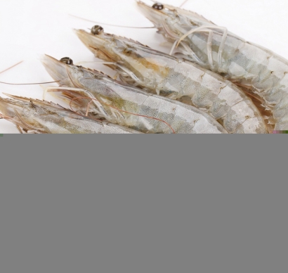 越南冷凍南美白對蝦進口清關資料到上海外高橋案例