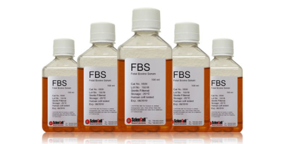 胎牛血清進口報關注意事項以及流程