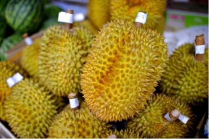 馬來西亞進口榴蓮清關，海關檢驗檢疫要求