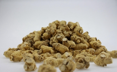 天津中藥材報關指南：印尼兒茶進口報關資料費用