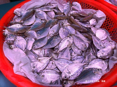 厄瓜多爾到佛山南海冷凍葉子魚進口報關(guān)流程費用