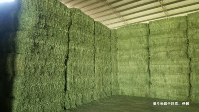 進口加拿大苜蓿草報關(guān)資料_牲畜飼料通關(guān)檢疫要求