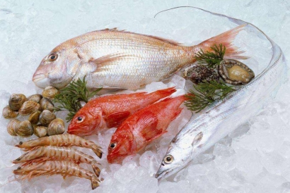 廣州冷凍品進口報關(guān)公司哪家好？廣州報關(guān)行排名