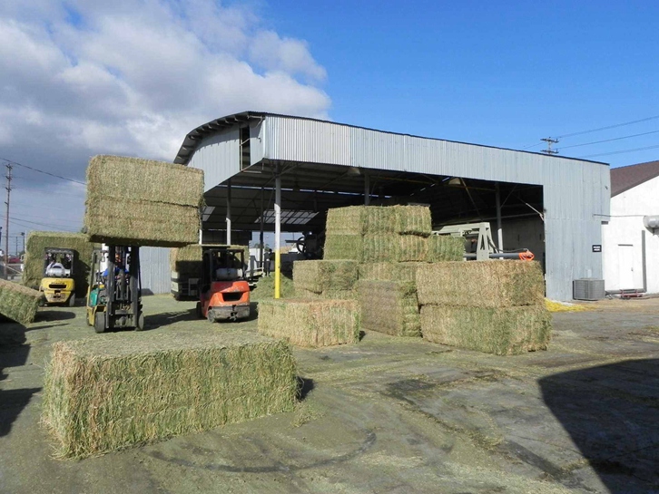 天津苜蓿草進口報關(guān)公司