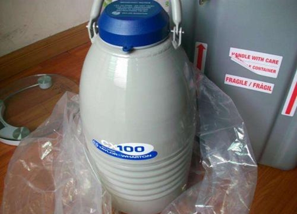 美國液氮罐進口清關案例分享，急客戶所急