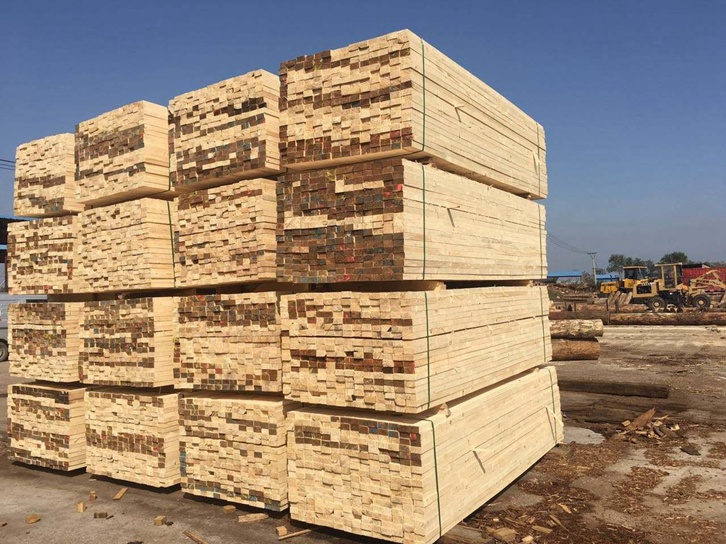 青島進(jìn)口俄羅斯木材報關(guān)費(fèi)用