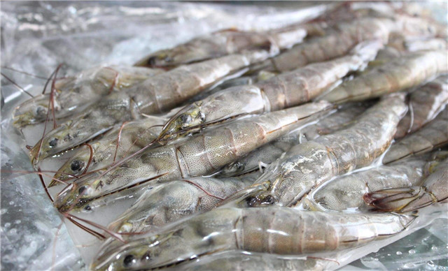 越南蝦進(jìn)口報(bào)關(guān)流程技巧講解，get到了嗎