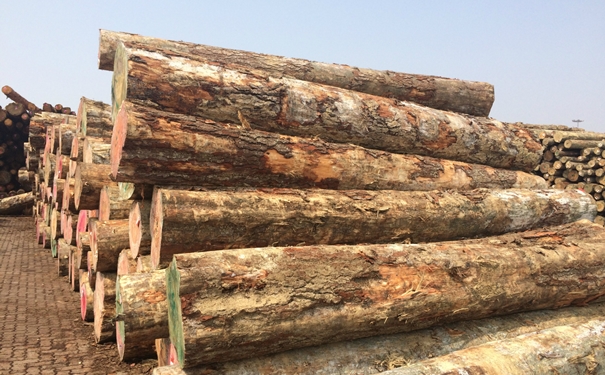 原木進(jìn)口清關(guān)上海代理公司g