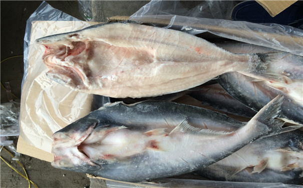 空運海鮮進口報關一般貿易進口需要注意這些，來看看? 